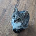Photo of Nalie