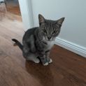 Photo of Nalie