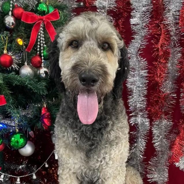 Photo of 💙 Sammy 💙