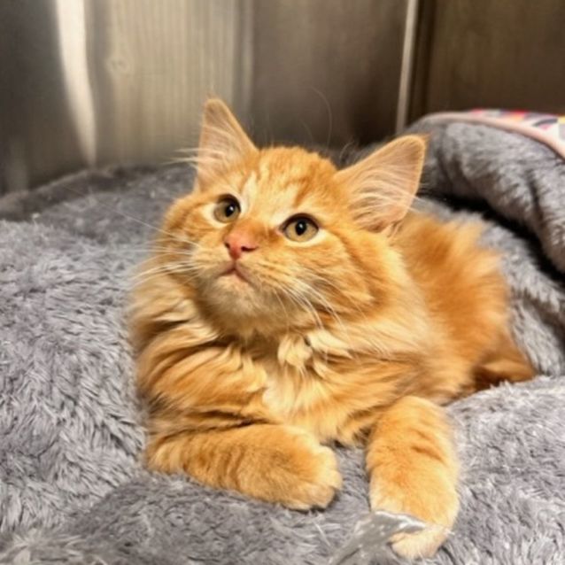 Photo of Tropical Storm