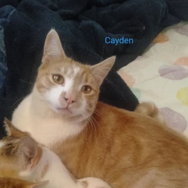 Photo of Cayden