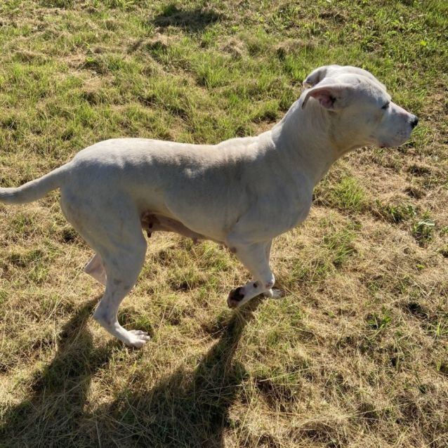 Photo of Missy