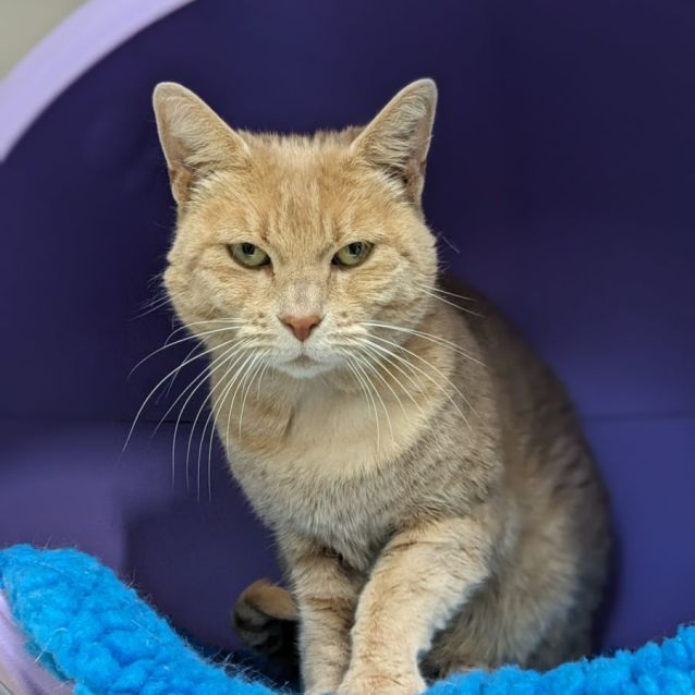 Photo of 👓 Samwise 5059👓