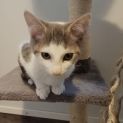 Photo of Cinda