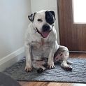 Photo of Fizz