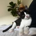 Photo of Miss Tee
