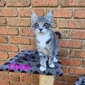 Photo of Chloe