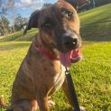 Photo of Belle