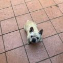 Photo of Mia