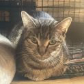 Photo of Tabitha
