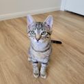 Photo of Yeti