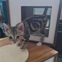 Photo of Tonino 