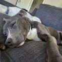 Photo of Mando