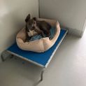 Photo of Blue