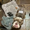 Photo of Charlie Brown