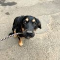 Photo of Zara