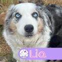 Photo of Lia