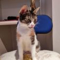 Photo of Princess