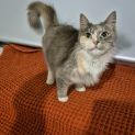 Photo of Lily
