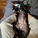 Photo of Wonga