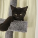 Photo of Agatha