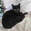 Photo of Agatha