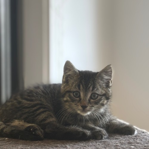 Ross meet me@Petstock Hastings store 