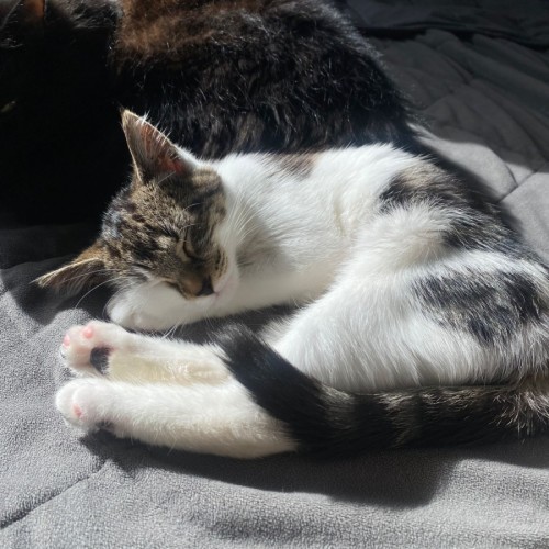 No photo for Penelope