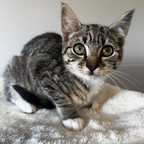 No photo for Melanie