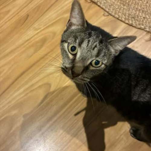 No photo for Zeus