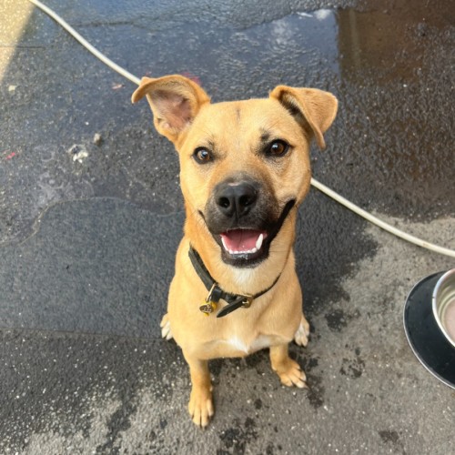 No photo for Peter Rabbit