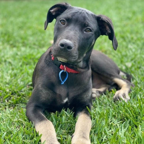 Zeus