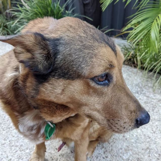 Photo of Cruz Dl2784