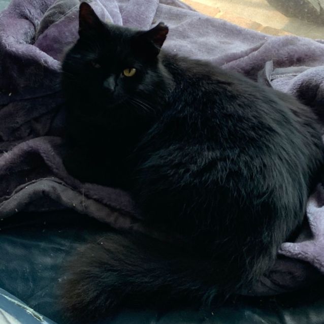 Photo of Jedd   Can Transport To You