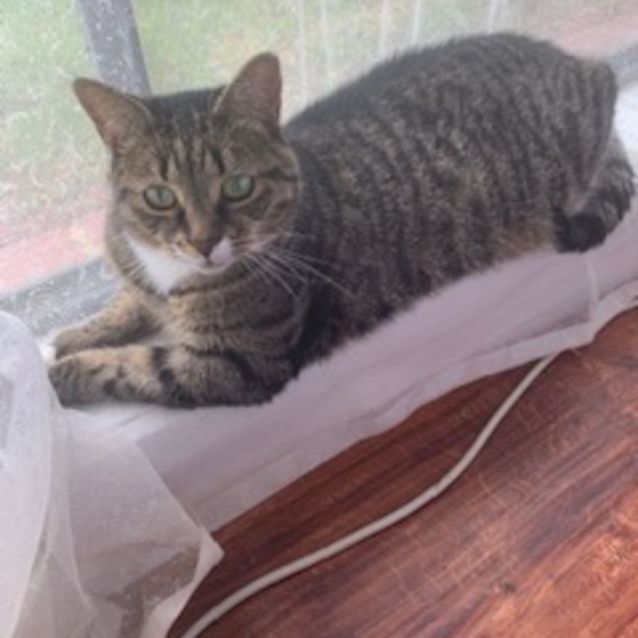 Photo of Ciana