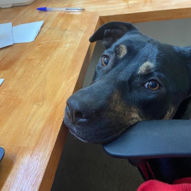 Photo of Betty Dl2864