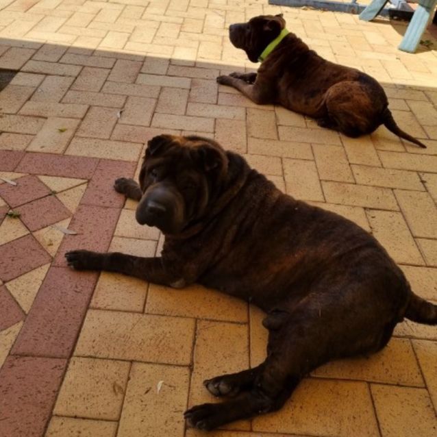 Photo of Tess And Bruce 