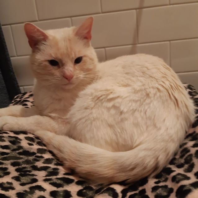 Photo of Horatio