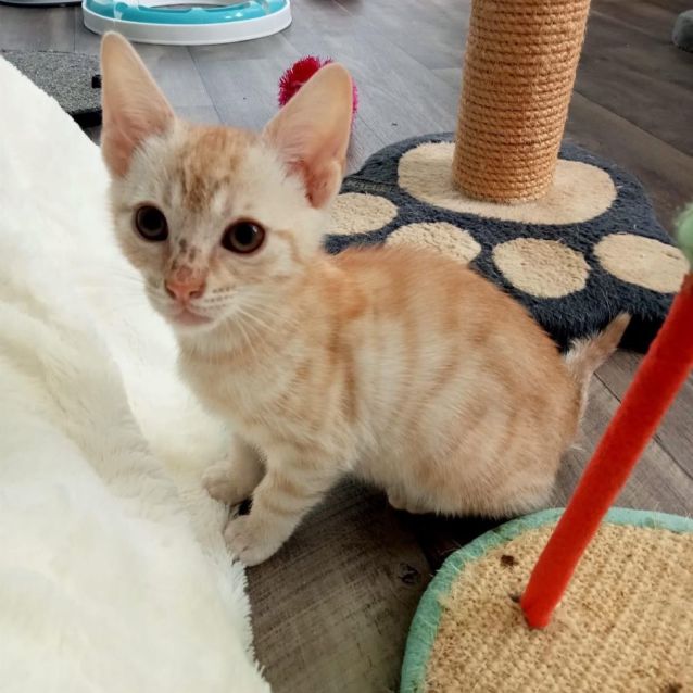 Photo of Charlotte