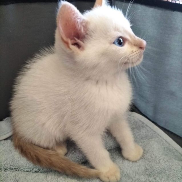 Photo of Sugar