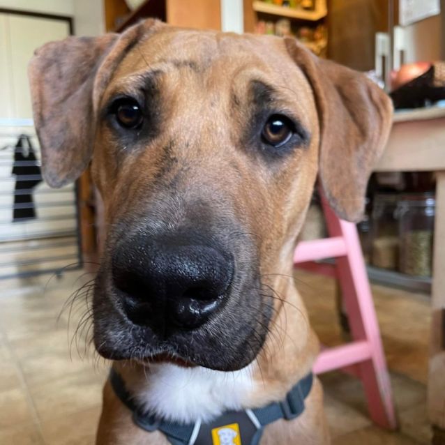 Photo of Pup Pup 🐕🐾♥️