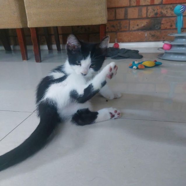 Photo of Whiskey