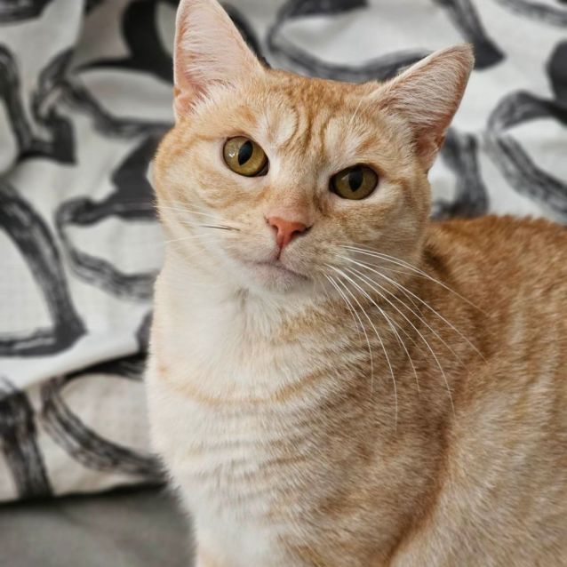 Photo of 💛 Rhonda 💛