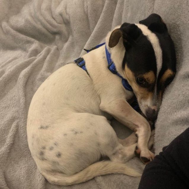 Photo of Wally