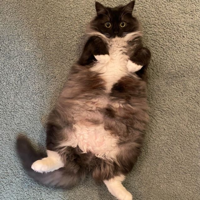 Photo of Bubbles (Located In Edithvale)