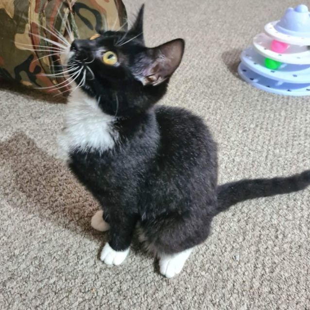 Photo of Lizzie