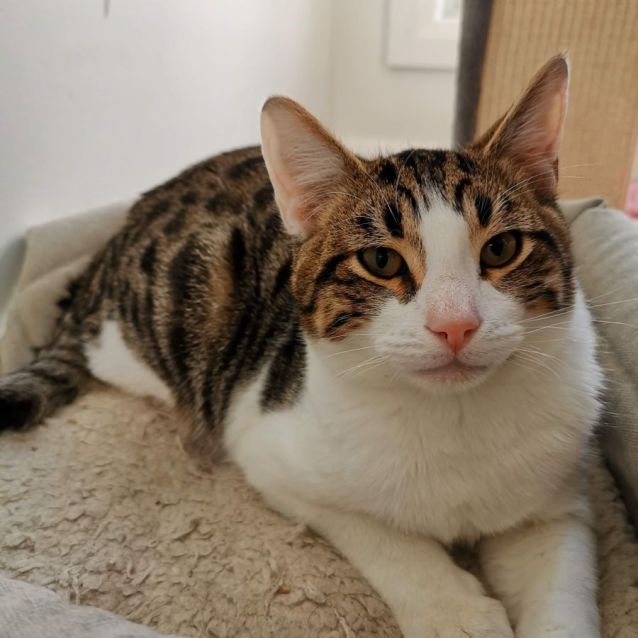 Photo of Jarvis Cocker 💙