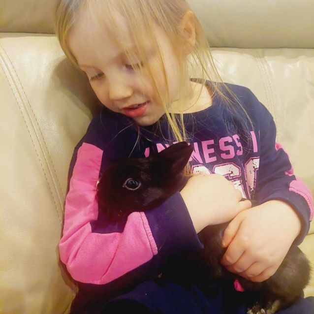 Photo of 🐰Thor🐰 (Located In Mount Evelyn)