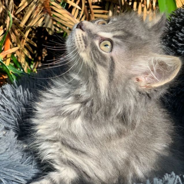 Photo of Millie💕💕💕