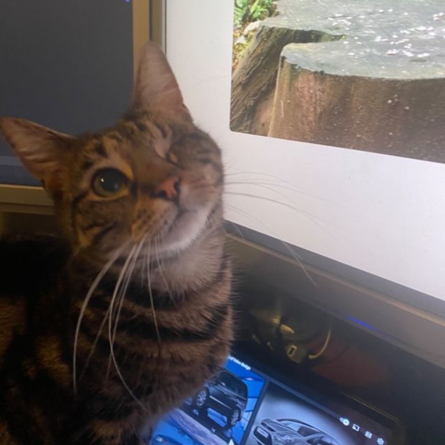 Photo of Delilah🌷